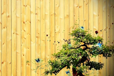 Art Desktop Wallpapers