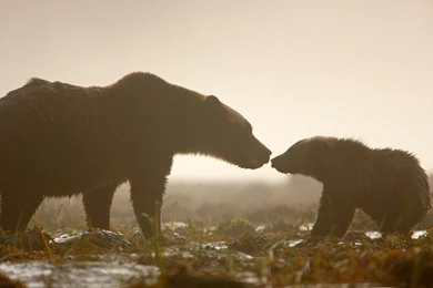 19888_1280x1024 wallpaper cb1273265304.jpg