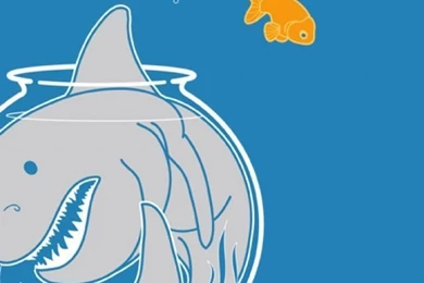 Shark In Aquarium iPhone 5 Wallpapers