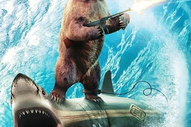Bear Shark iPhone 5 Wallpapers (640x1136)