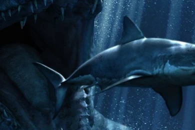 Download Wallpapers 750x1334 Jurassic World, Poster, Shark ...