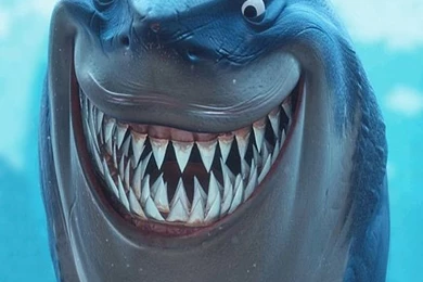 Finding Nemo Shark iPhone 5 Wallpapers (640x1136)