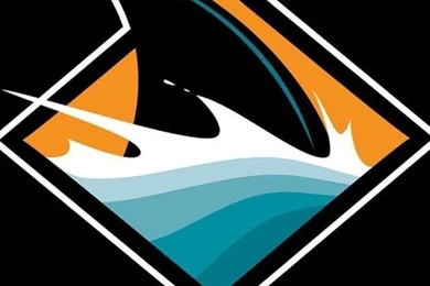 Download San Jose Sharks Shark Fin Wallpapers For iPhone 4