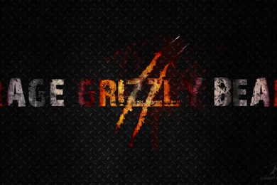 Rage Grizzly Bear Wallpapers By Elbichopt On DeviantArt