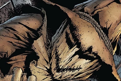 2 Scarecrow HD Wallpapers