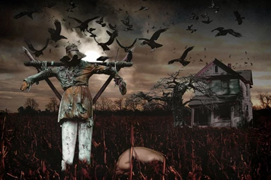 4 Scarecrow HD Wallpapers