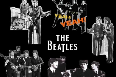 Wallpapers55.com   Best Wallpapers For PCs, Laptops, Smartphones ...