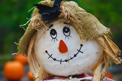 Scarecrow HD Desktop Wallpapers : High Definition : Fullscreen : Mobile