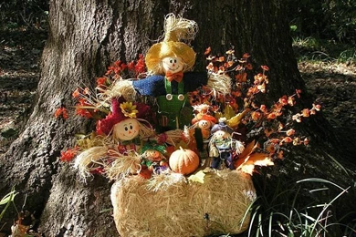 Autumn Display : Scarecrow & Pumpkins Wallpapers   Wallcoo.net