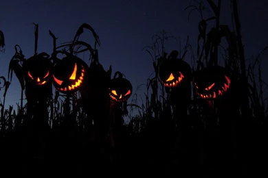 Top Halloween Boo Wallpapers Scary Images For Pinterest