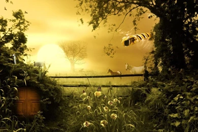 The Word 'cartoon: Horse Desktop Themes