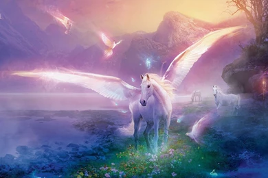 Free Beautiful Horse With Wings Computer Desktop Wallpapers