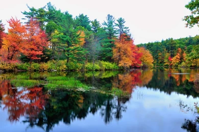 Download Wallpapers 1920x1200 Lake, Reflection, Autumn, Trees ...