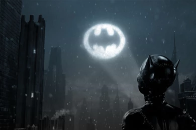 175 Catwoman HD Wallpapers