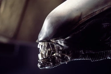 166 Alien HD Wallpapers