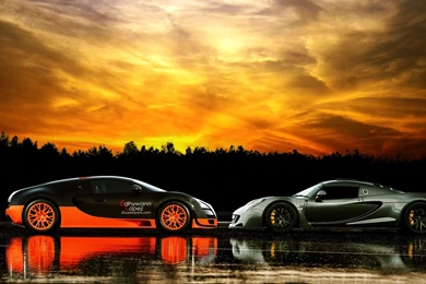 Top 10 Fastest Exotic Cars In The World   Buzz   MrExotics.com