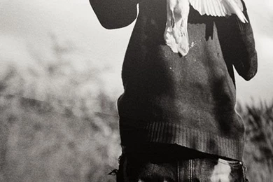 Wallpapers Whitechapel Pigeon3