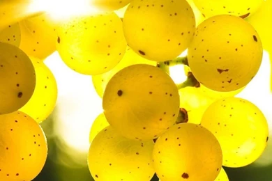 Hd Wallpapers For Windows Mobilewallpapers For Windows Mobile ...