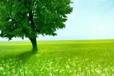 Bliss Hd Wallpapers For Mobile Samsung Galaxy S5 – HD WALLPAPER WIDE