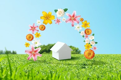 Fresh Green Wallpapers Wallpapers   HD Wallpapers 85205