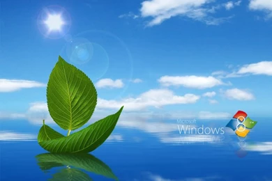 Free Download High Quality Windows 8 Wallpapers