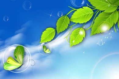 Fresh Wallpapers HD Attachment 4549   Amazing Wallpaperz