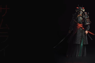 Download Samurai Wallpapers Widescreen Resolution