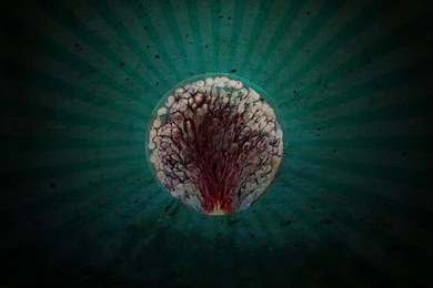 Surreal Wallpaper Backgrounds