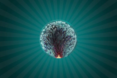 7 Surreal HD Wallpapers