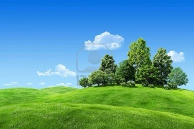 Green 3D Wallpapers   Desktop Backgrounds