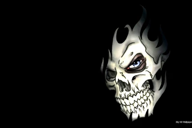 3D Skulls Wallpapers