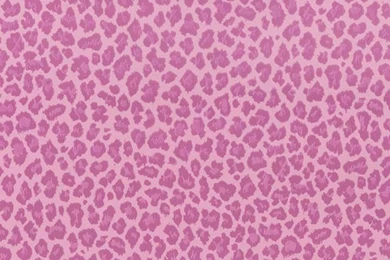 Pink Ng44175 Leopard Print Wallpapers By Brewster