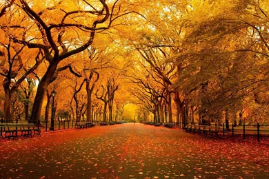 New ipad wallpaper hd 2048×2048 561