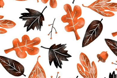 Free Fall Wallpapers Download