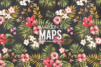 Maroon 5 V Tour   Wallpaper.