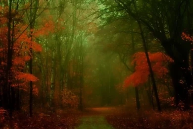 Autumn iPhone 4s Wallpapers