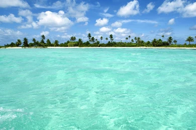 Summer Backgrounds Pictures For Desktop