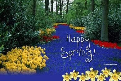 Home Interior Designs: Free Summer Desktop Wallpapers