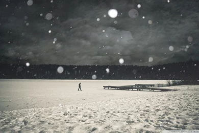 Lonely Winter Wallpapers 109207