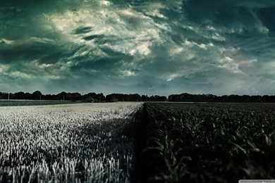 Feeling Lonely HD Desktop Wallpapers : Widescreen : High Definition ...