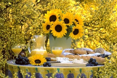 Top Summer Garden Desktop Wallpaper Images For Pinterest