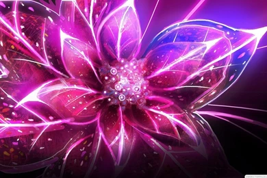 Black And Purple Wallpapers Amazings 2408   HD Wallpapers Site