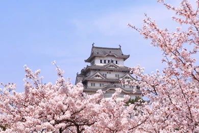 Japan Himeji Castle / HD iPad Wallpapers