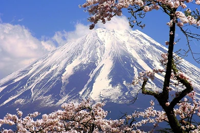 Japan Cherry Blossoms Flowers Spring Season Rivers Flowered Trees ...