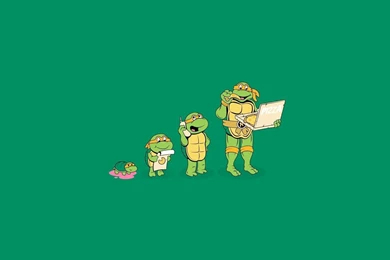 Michelangelo Teenage Mutant Ninja Turtles.jpg