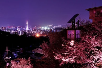 Cherry Tag Wallpapers: Cherry Yum Red Good Fruit Backgrounds Free ...