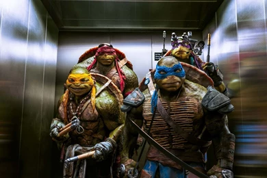 Full HD 1080p Teenage Mutant Ninja Turtles Wallpapers HD, Desktop ...