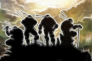 Teenage Mutant Ninja Turtles Wallpapers   (