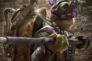 Donatello tmnt 2014 wallpaper hd 1600x12001.jpg