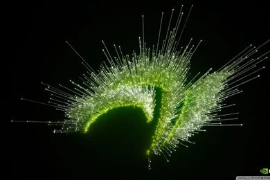 Nvidia Lite Wallpapers Full HD [1920x1080]   Free Wallpapers Full Hd ...